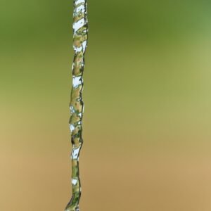 a faucet with water running down it's side